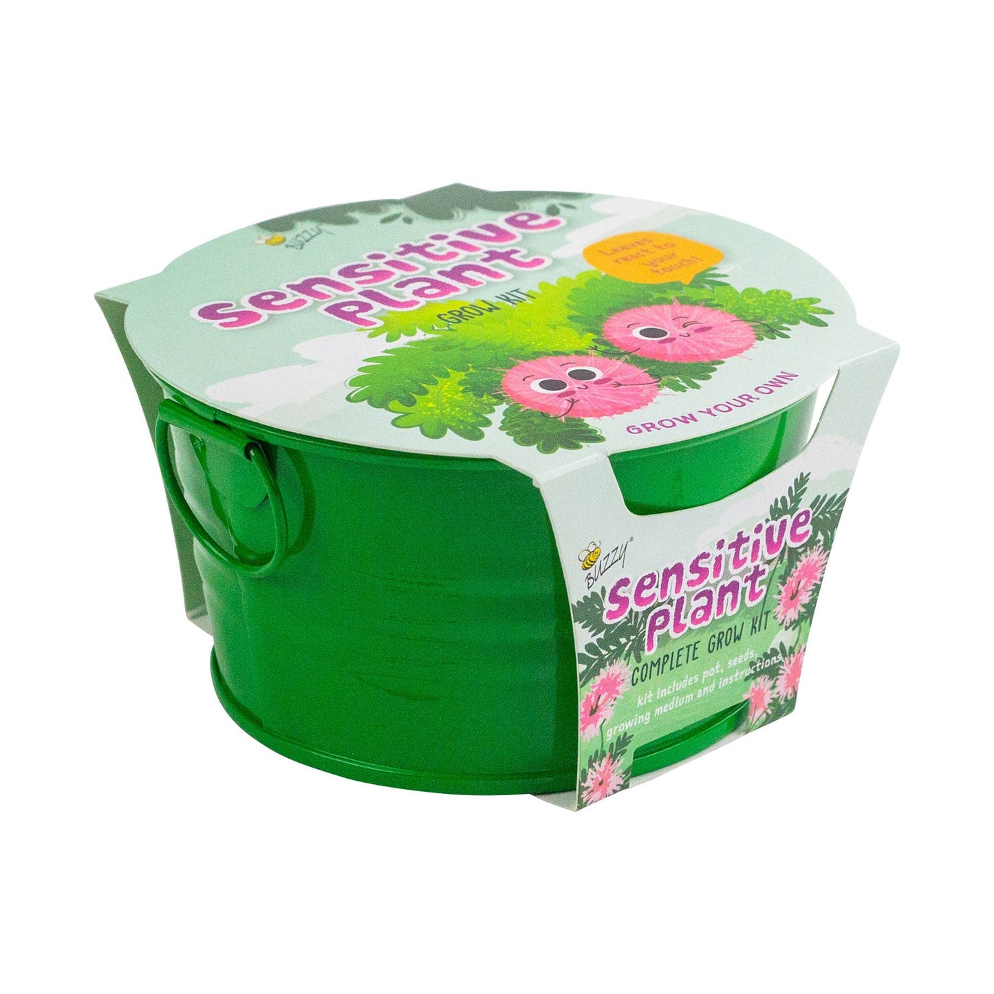 Buzzy, Inc. - Buzzy Seed Kids Mini Basin-Sensitive Plant Grow Kit