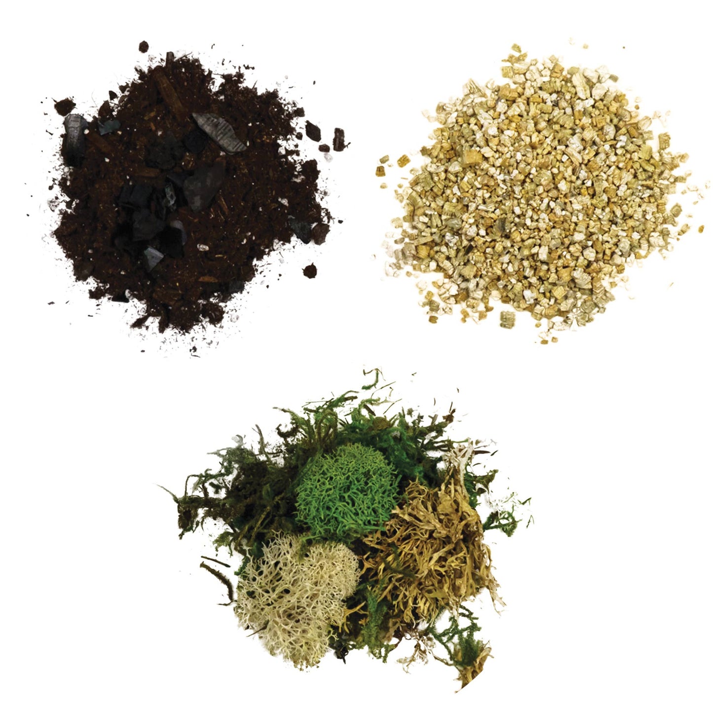 Cute Farms - Terrarium Starter Kit