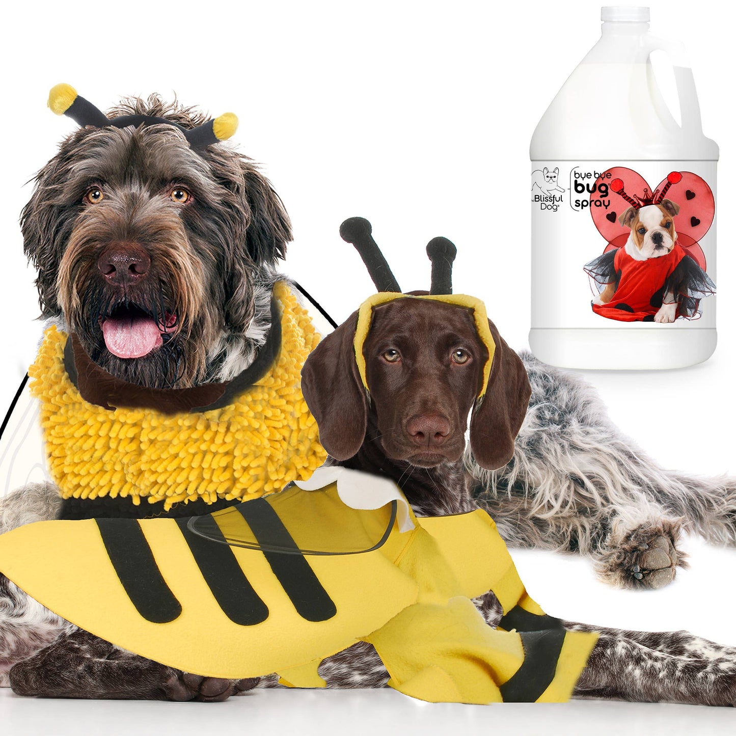 The Blissful Dog - Bye Bye Bug Spray Insect Repellant 8oz Bottle