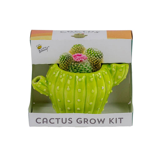 Buzzy, Inc. - Buzzy Seeds Cactus Grow Kit