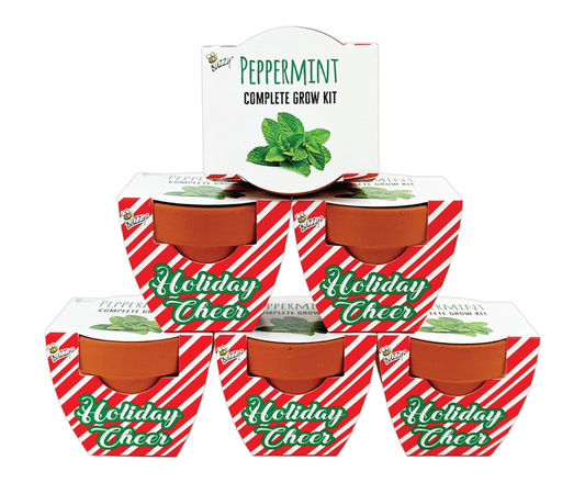 Buzzy, Inc. - Holiday Mini Terracotta Candy Cane Grow Pots