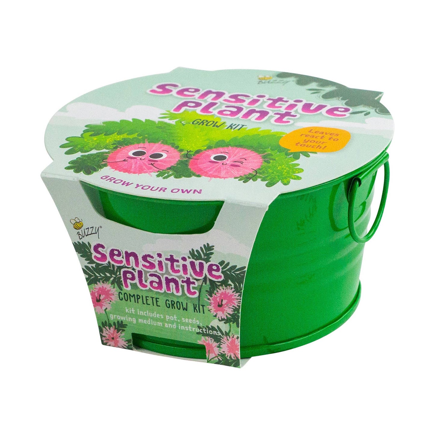 Buzzy, Inc. - Buzzy Seed Kids Mini Basin-Sensitive Plant Grow Kit