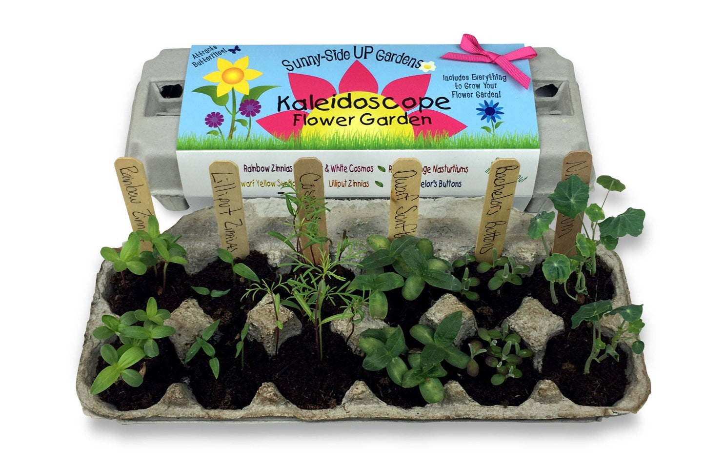 Backyard Safari Company - Kaleidoscope Flower Garden Grow Kit