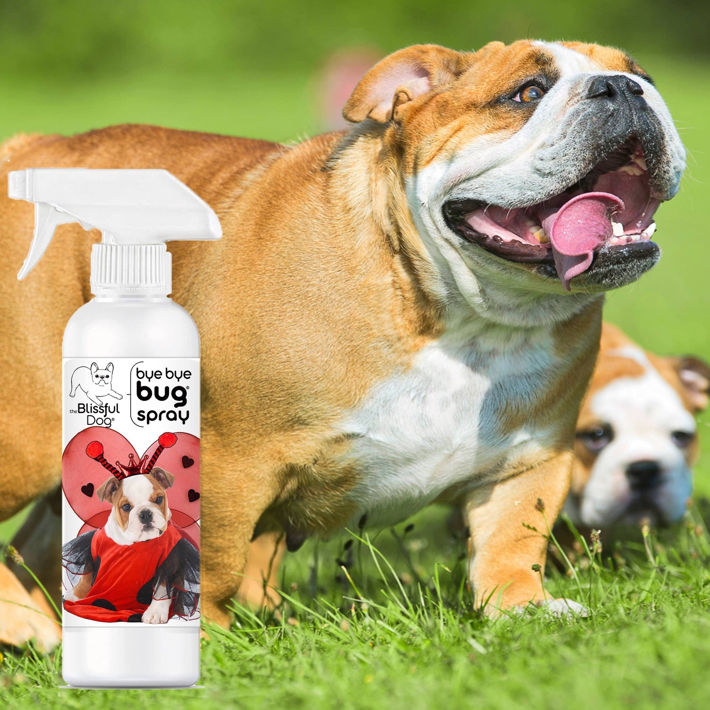 The Blissful Dog - Bye Bye Bug Spray Insect Repellant 8oz Bottle