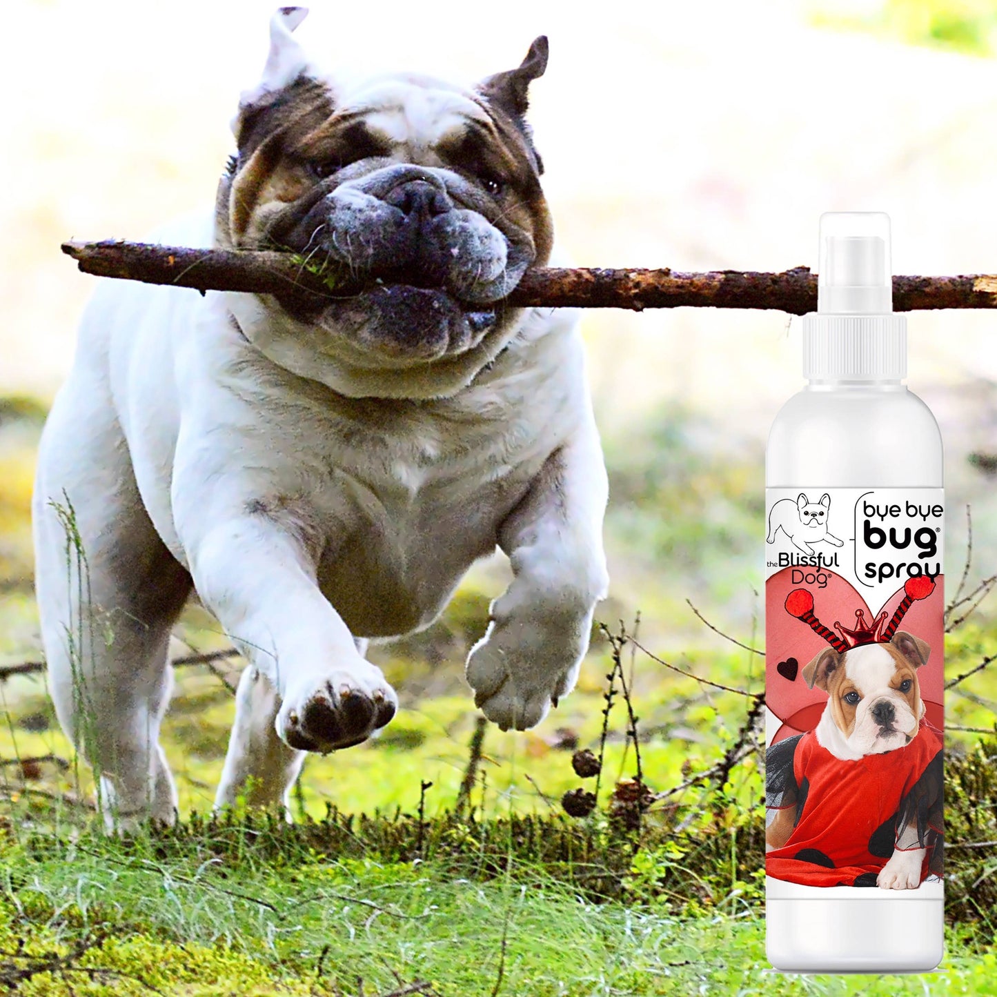 The Blissful Dog - Bye Bye Bug Spray Insect Repellant 8oz Bottle