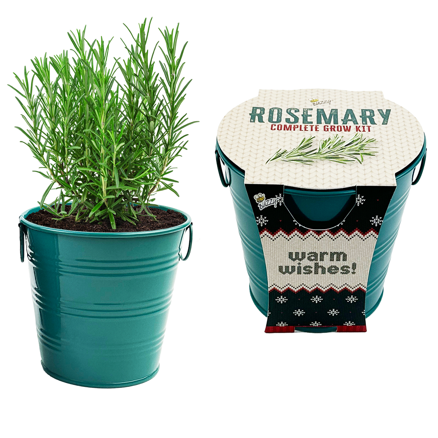 Buzzy, Inc. - Rosemary Holiday Herb Garden Grow Pail - Indoor Starter Kit