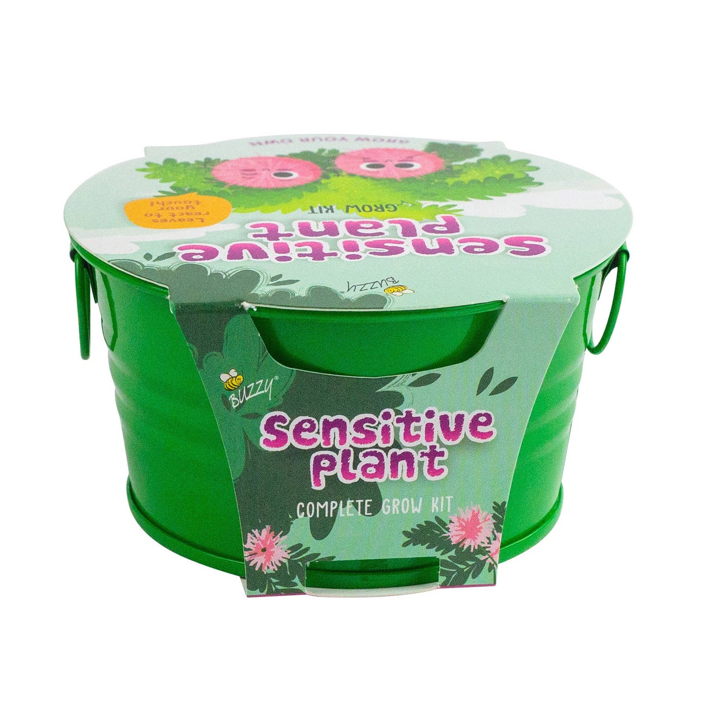 Buzzy, Inc. - Buzzy Seed Kids Mini Basin-Sensitive Plant Grow Kit