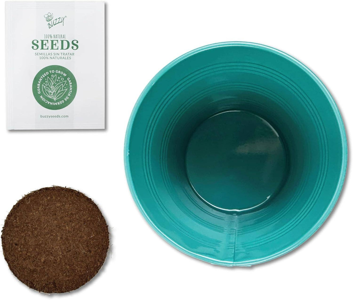 Buzzy, Inc. - Rosemary Holiday Herb Garden Grow Pail - Indoor Starter Kit