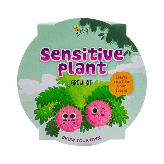 Buzzy, Inc. - Buzzy Seed Kids Mini Basin-Sensitive Plant Grow Kit