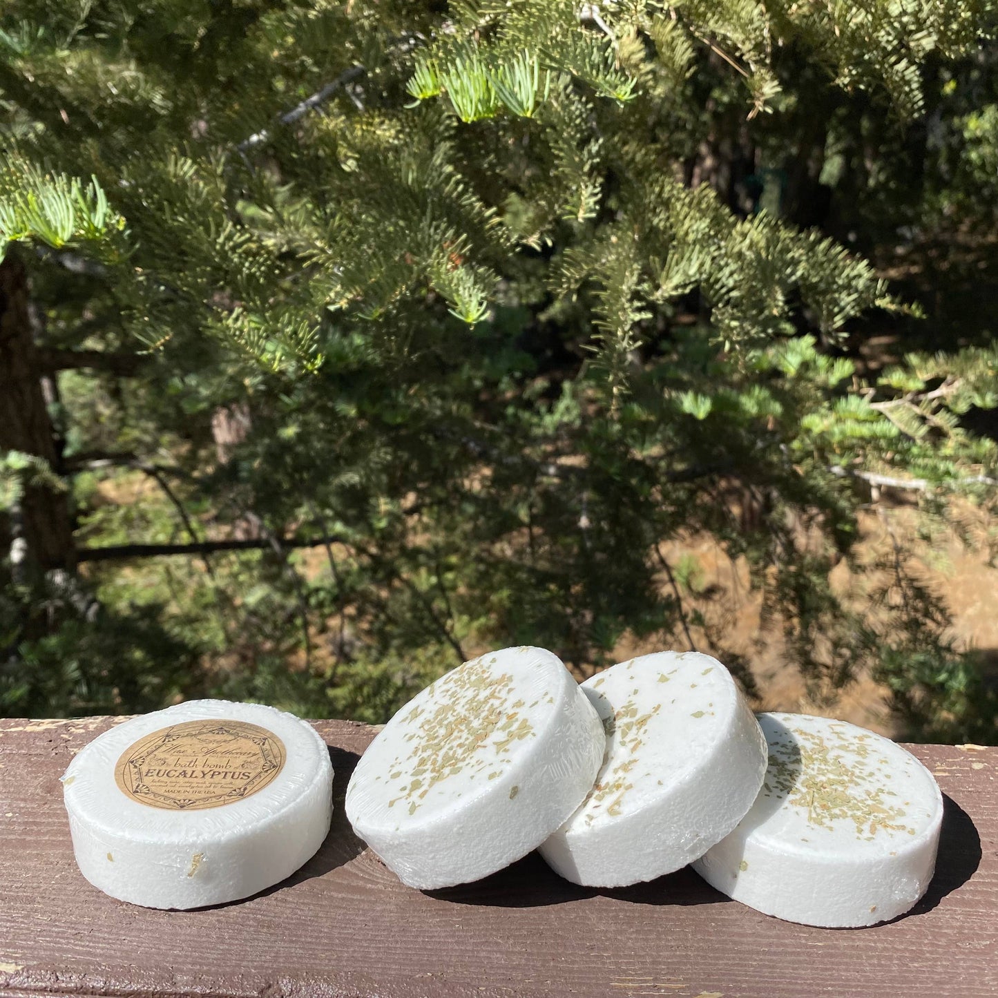 Wax Apothecary - Silver-Dollar Eucalyptus Botanical Bath Bomb