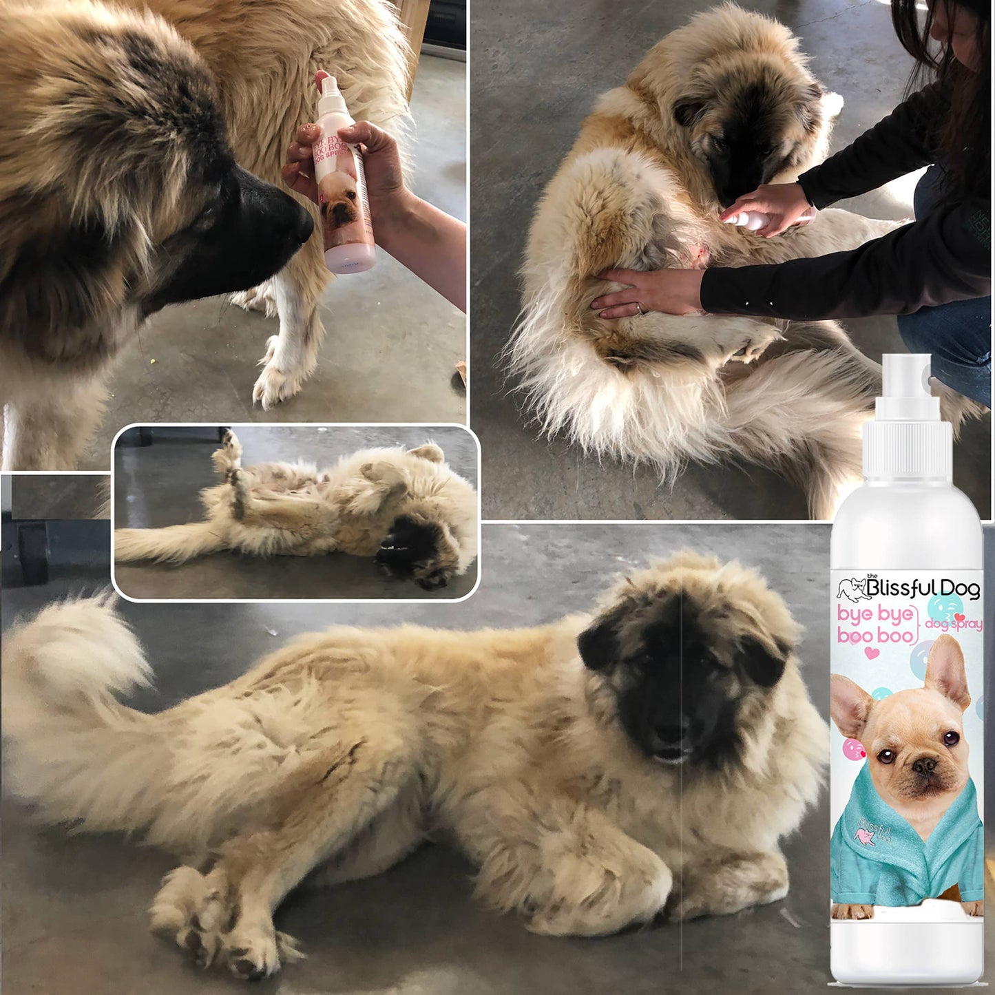The Blissful Dog - Bye Boo Boo Spray For Itchy, Irritated Dog Skin: 4 oz