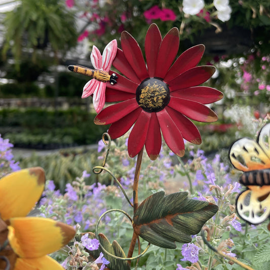 Thorsen's Greenhouse - Decorative Flower Plant Stakes: Red - Dragonfly