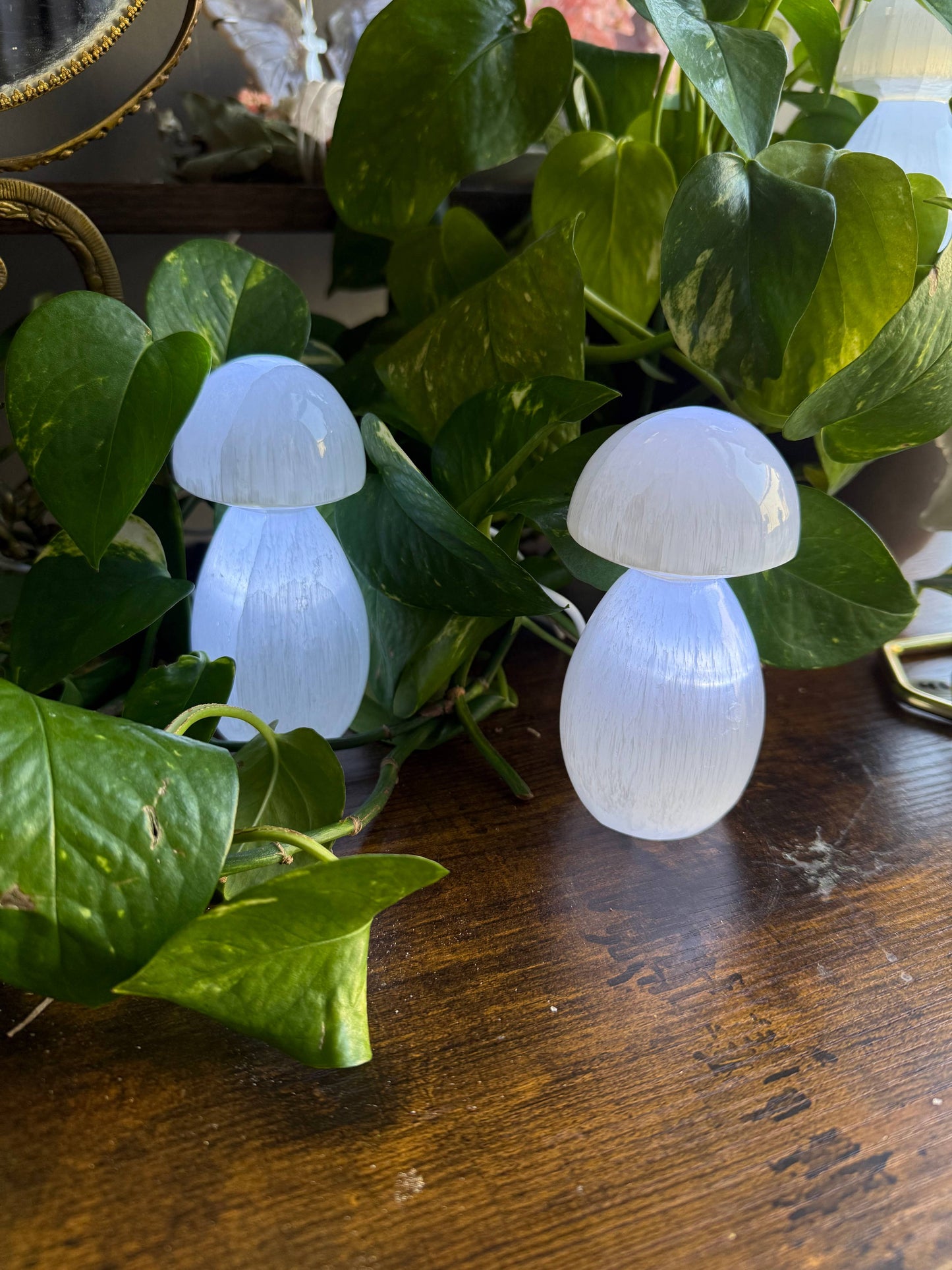 Sapphire & Sage - Selenite Mushroom Lamp | Calming Crystal Decor, 4.5 in. Tall