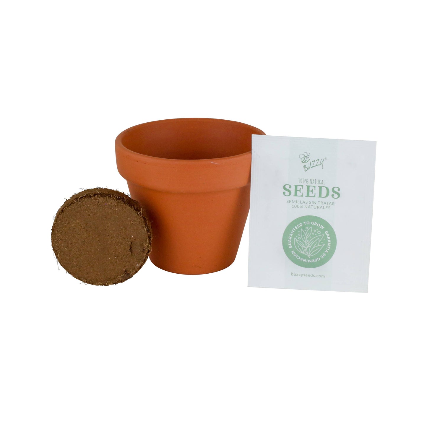 Buzzy, Inc. - Buzzy Seeds Classic 7cm Terra Cotta Grow Kit - Lavender