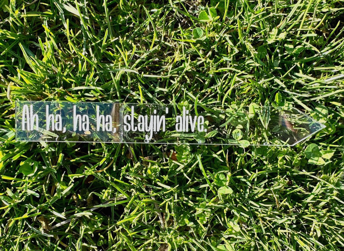 B.VerStrat Designs - Garden Stakes- Funny