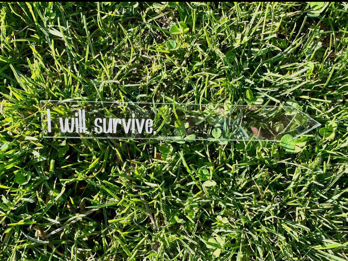 B.VerStrat Designs - Garden Stakes- Funny