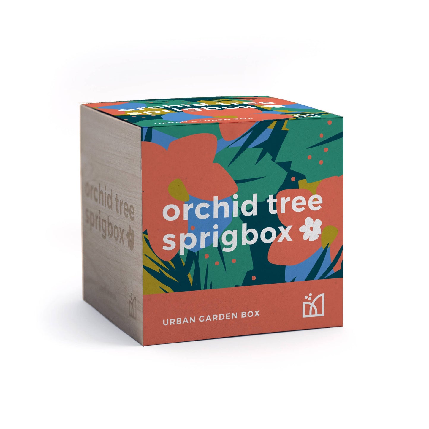 Sprigbox - Orchid Tree Grow Kit