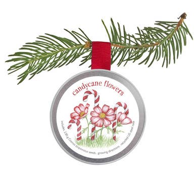 Potting Shed Creations, Ltd. - Garden Sprinkle Holiday Ornament | Kids