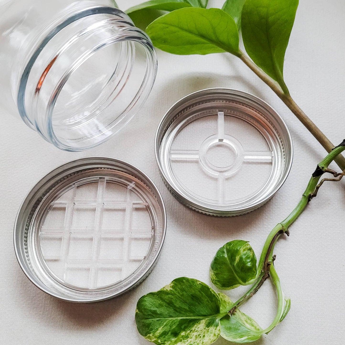 Leaf & Node - Mason Jar Lid Inserts - Plant Propagation and Flower Vase