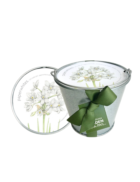 Potting Shed Creations, Ltd. - Garden in a Pail | Paperwhite