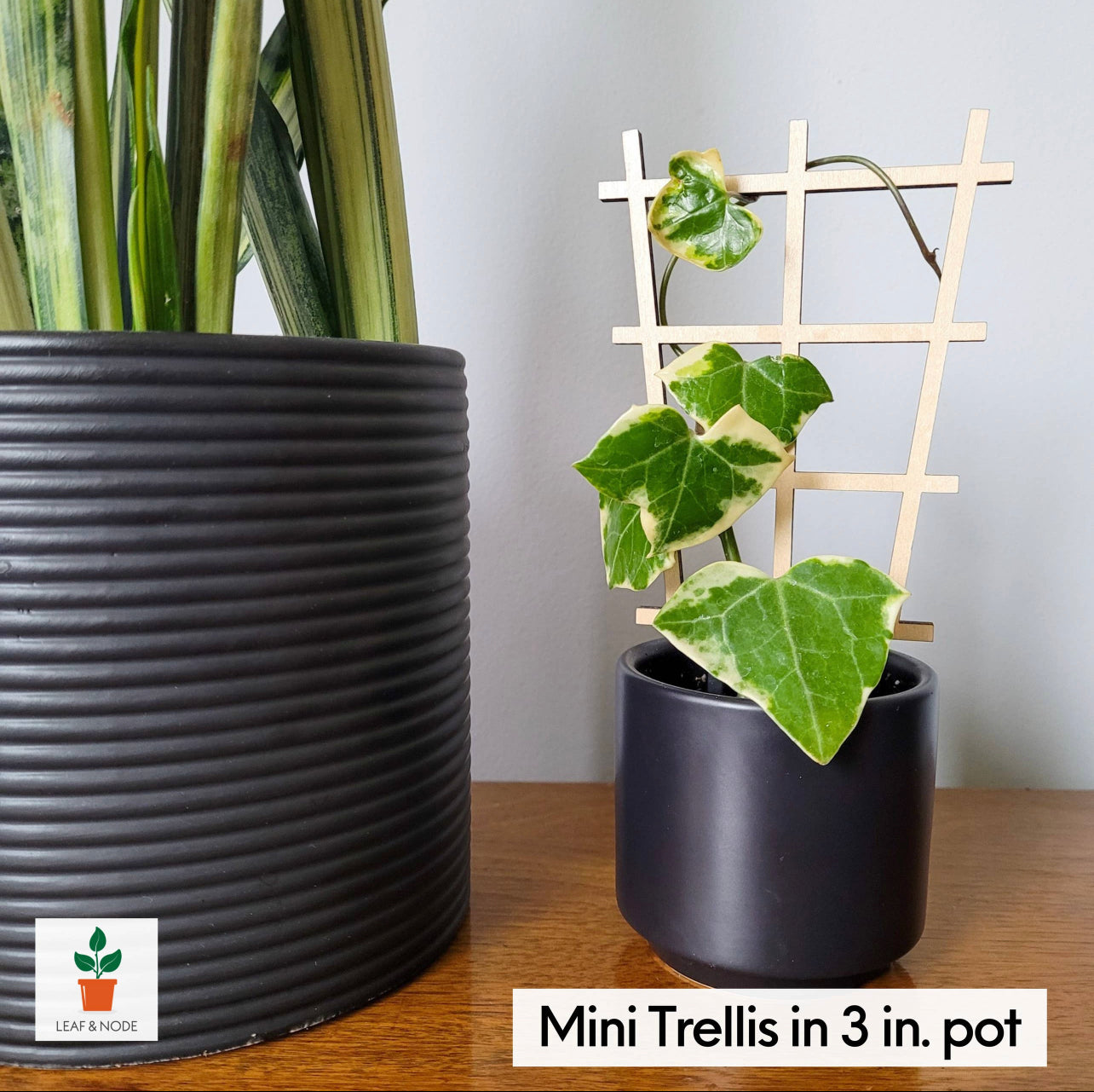 Leaf & Node - Ladder Indoor Wooden Plant Trellis (2 Sizes Available)