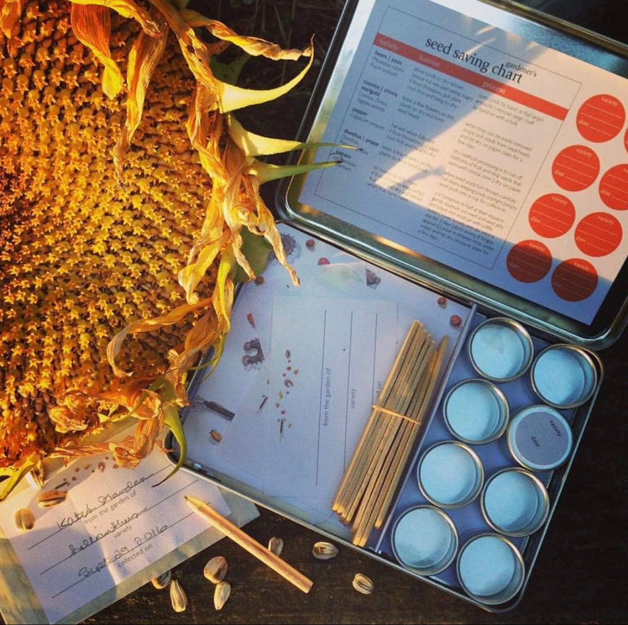 Potting Shed Creations, Ltd. - Garden Maker | Seed Saving Kit