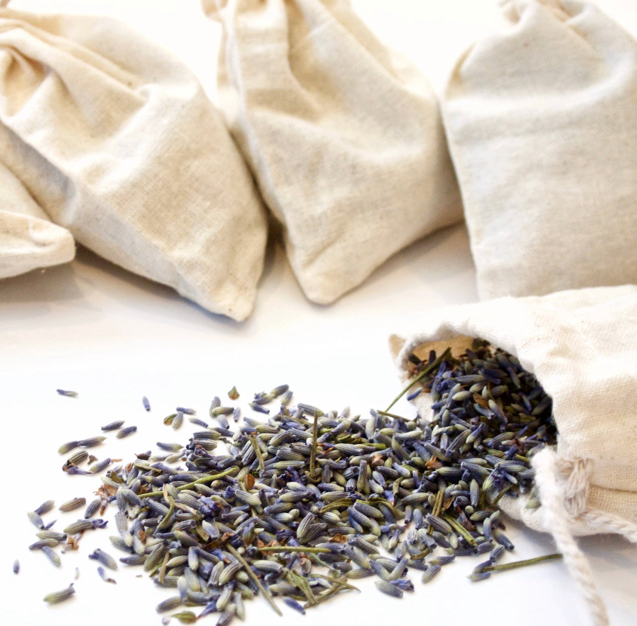 Seattle Seed Co. - Lavender Sachet