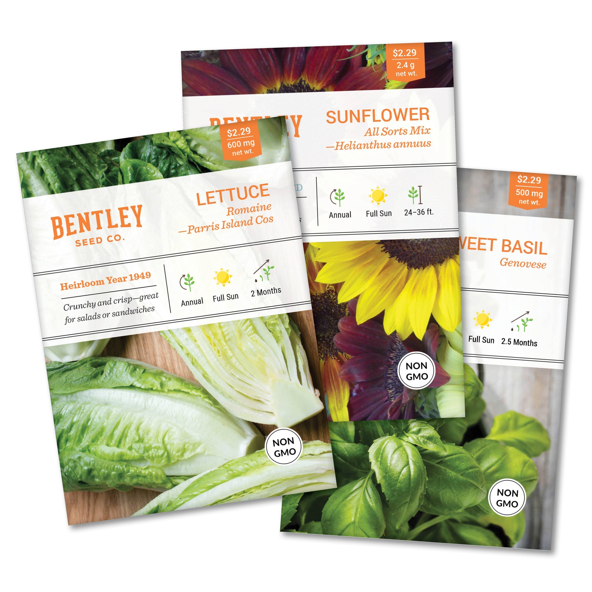  Official Bentley Seed Products