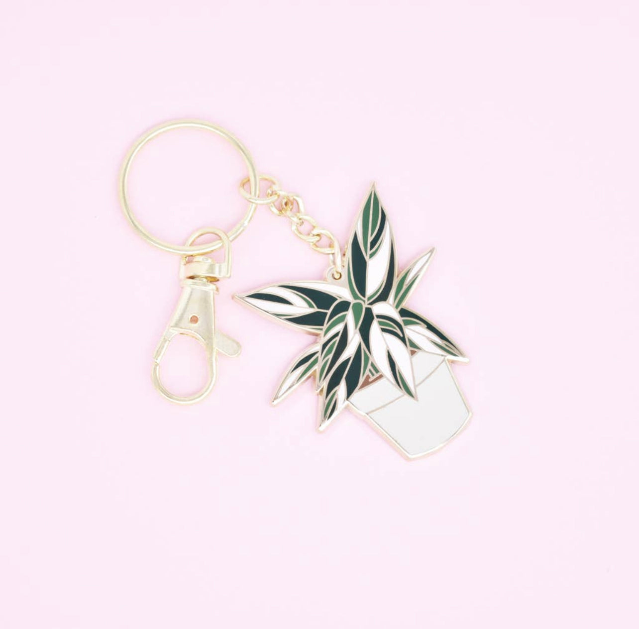 Plant Scouts - The Stromanthe Triostar Keychain