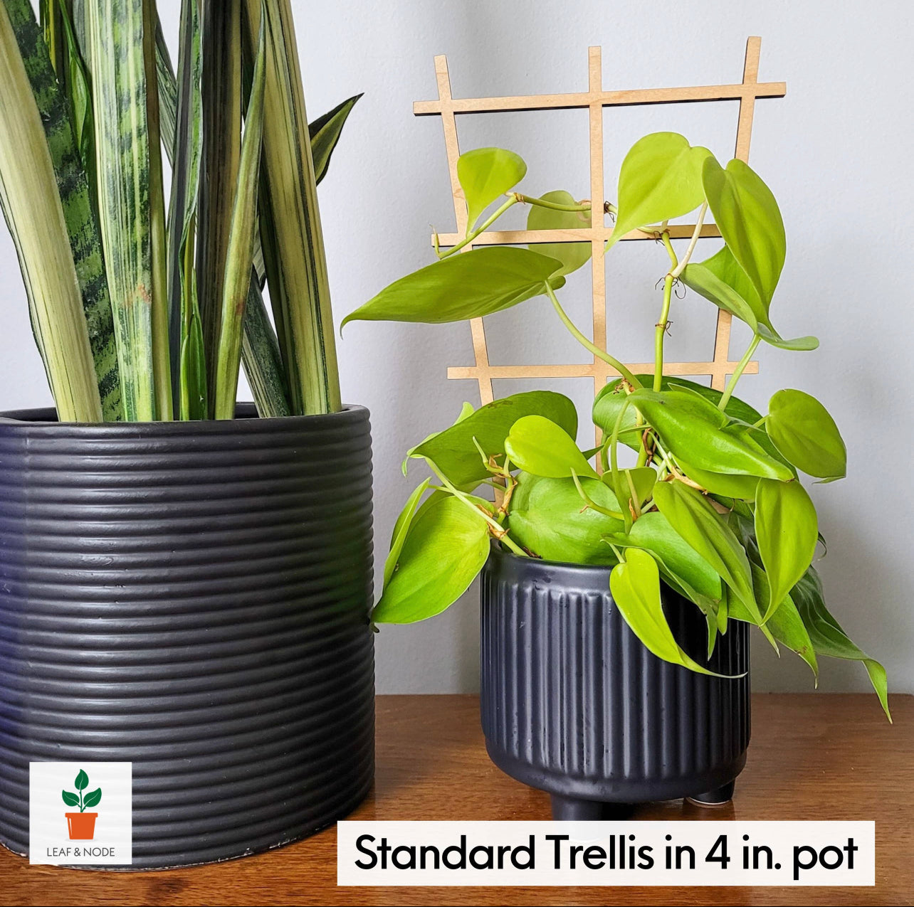 Leaf & Node - Ladder Indoor Wooden Plant Trellis (2 Sizes Available)