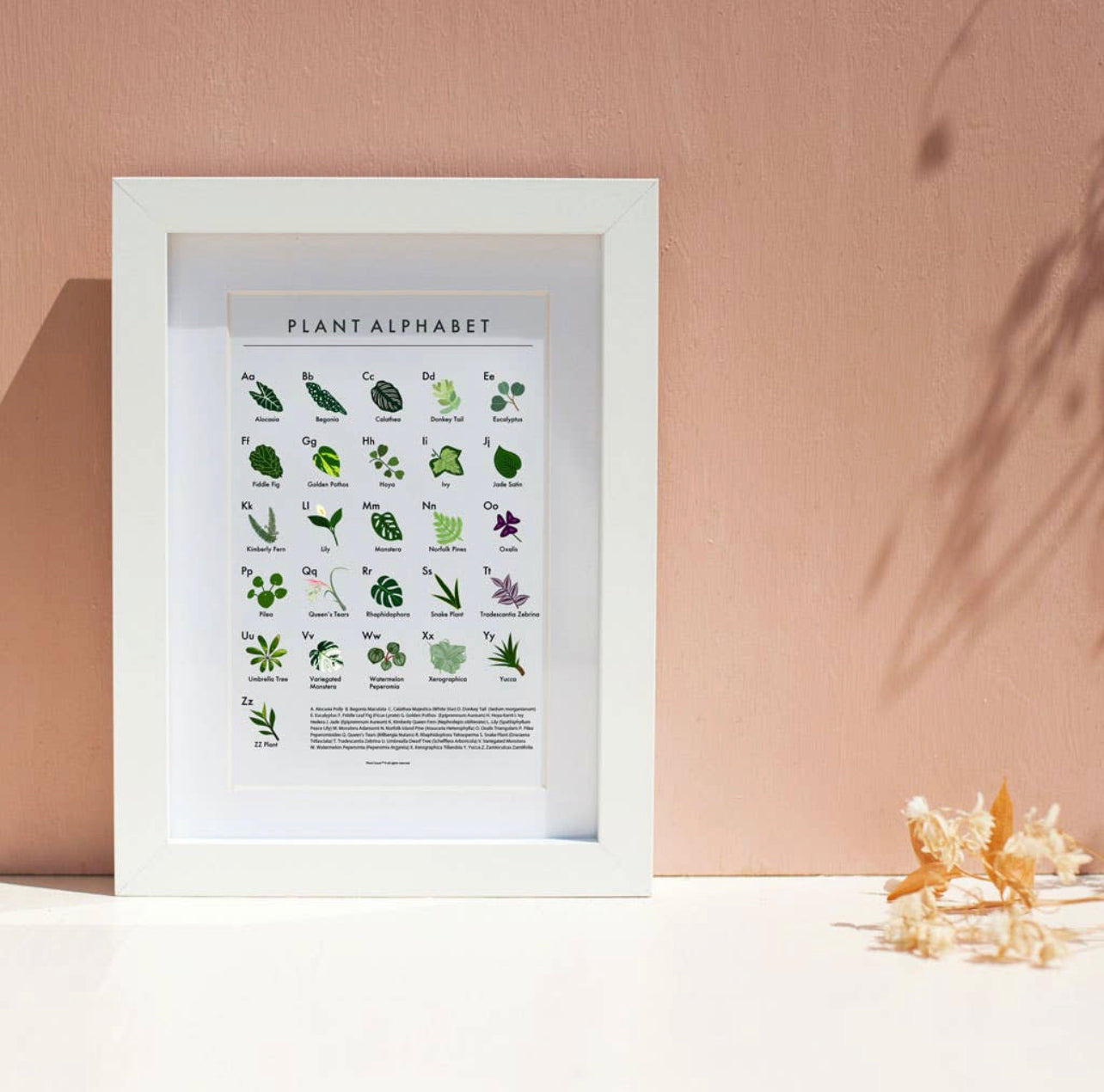 Plant Scouts - Plant Alphabet Poster - House Plant Love