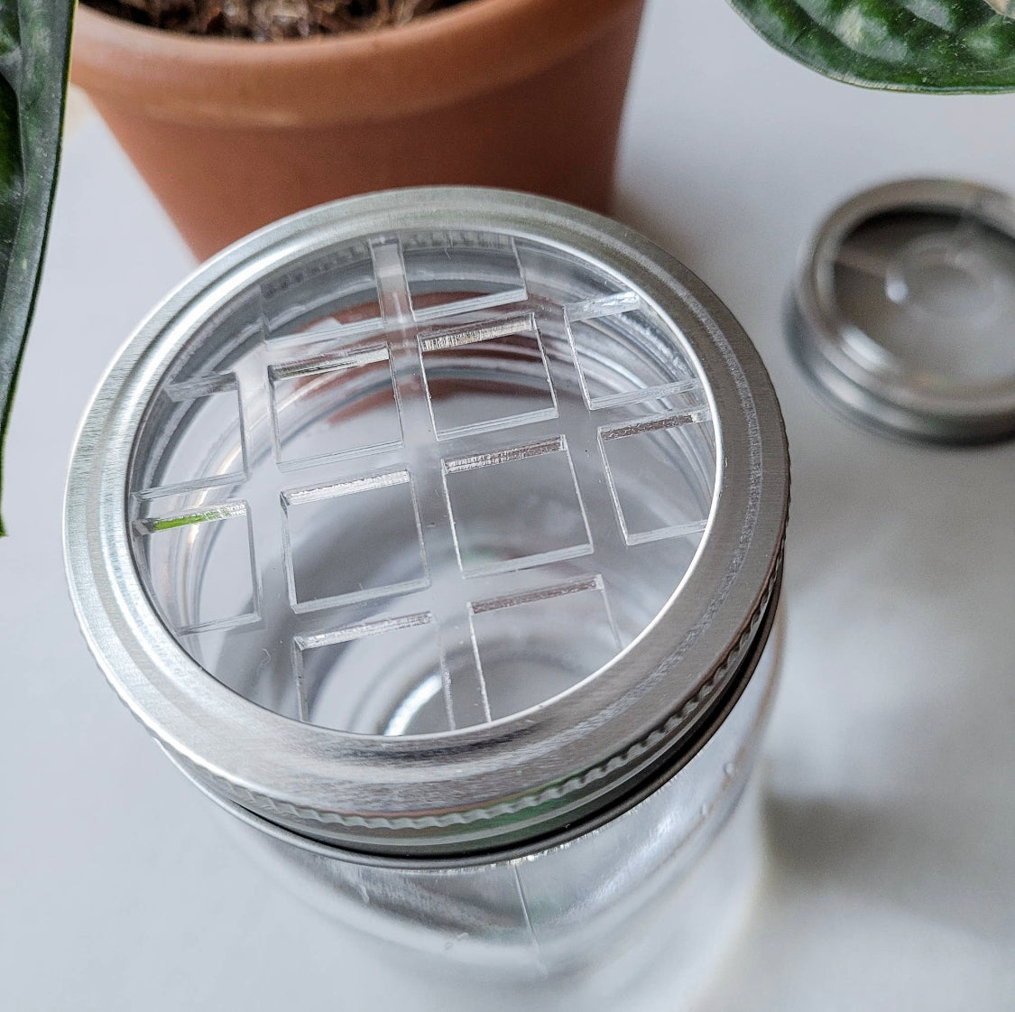 Leaf & Node - Mason Jar Lid Inserts - Plant Propagation and Flower Vase