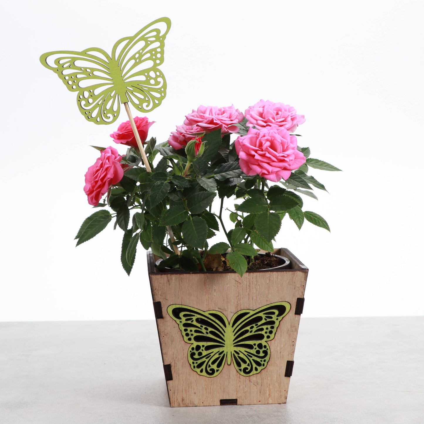 Thorsen's Greenhouse - Butterfly Design Wooden Pot for Houseplants - 4" Size
