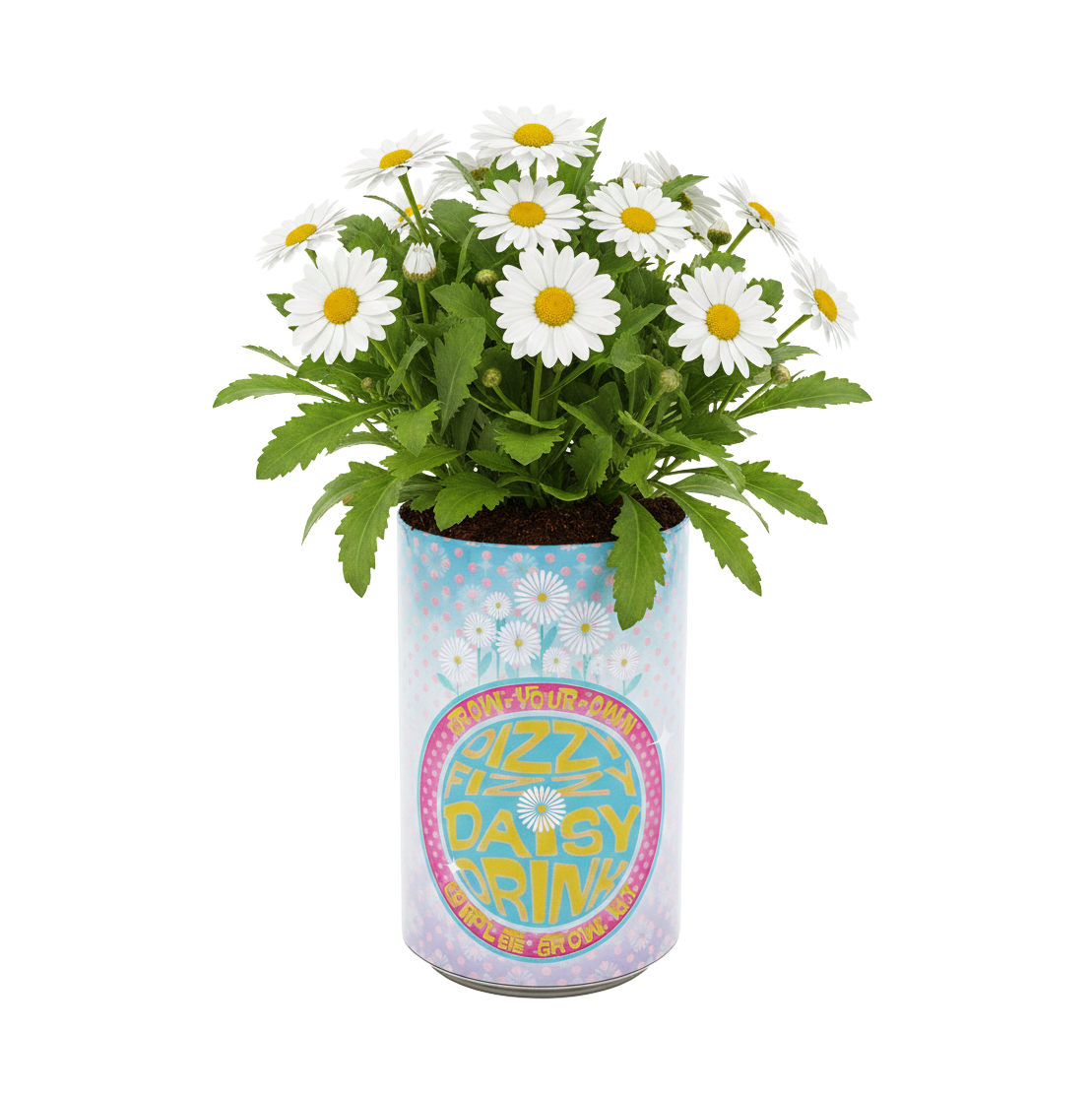 Buzzy Seeds Grow Gifts - Soda Can Flower Grow Kit