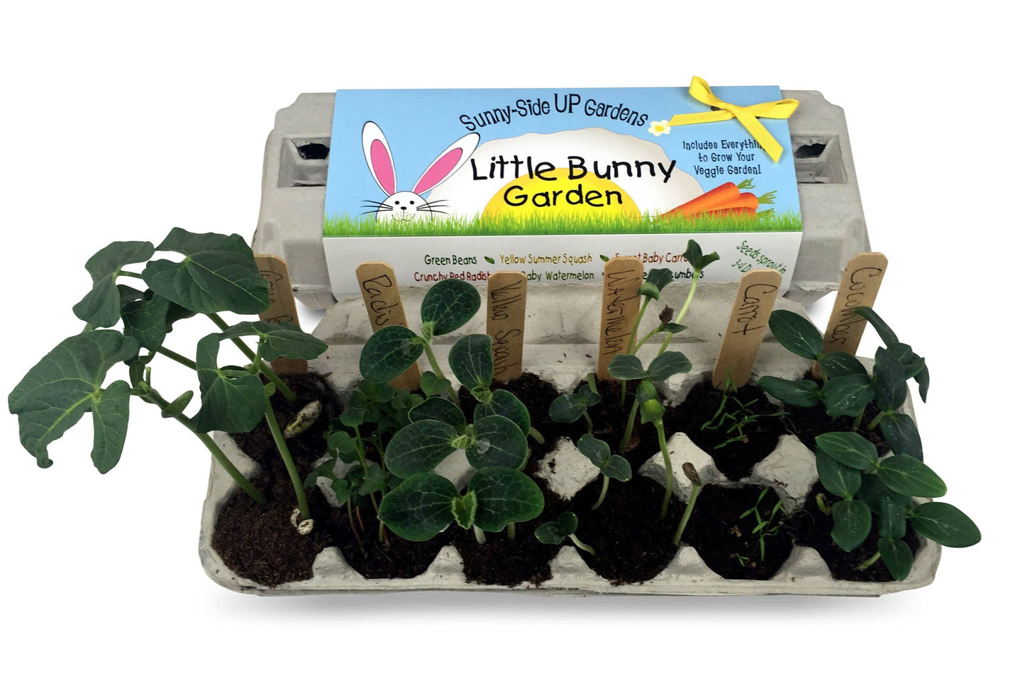 Backyard Safari Company - Little Bunny Garden Grow Kit