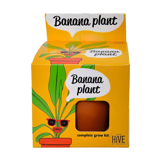 Buzzy Seeds Grow Gifts - Exotic Banana Plant Grow Kit | Indoor