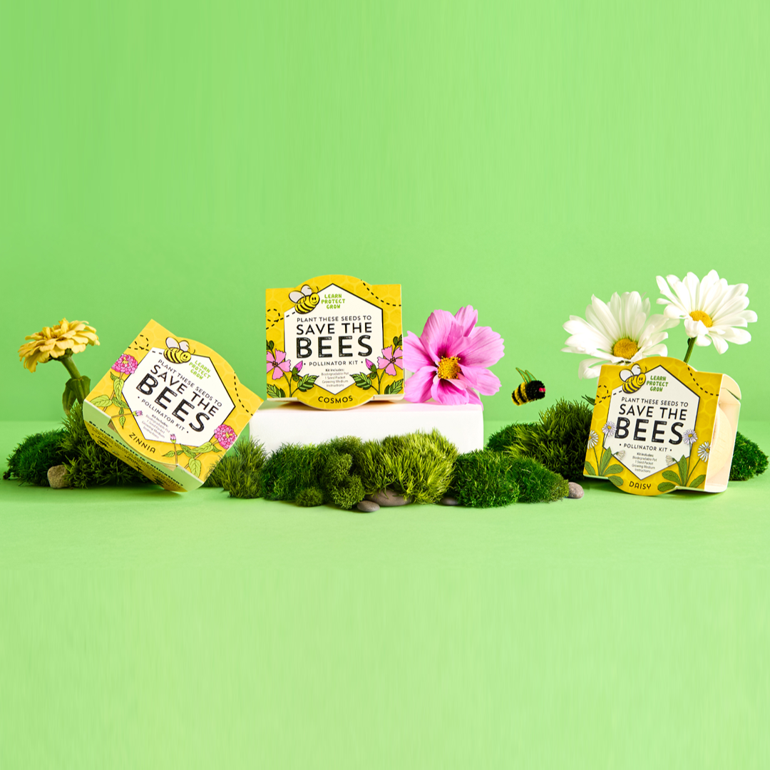 Buzzy Seeds Grow Gifts - Save The Bees Kits | Paper Cups | Pollinator Seeds