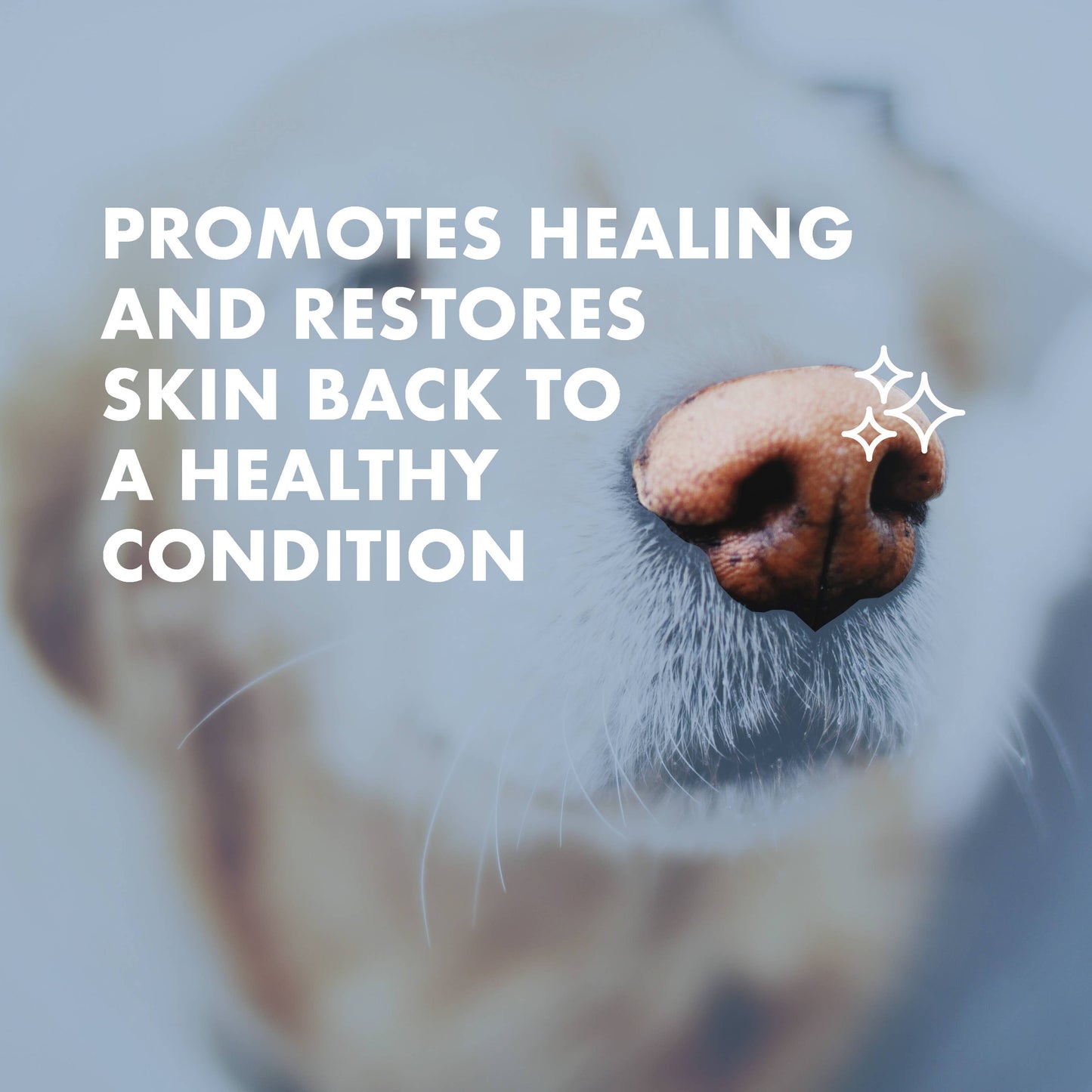 Pure + Good - Dog & Cat S.O.S. All Over Healing Balm