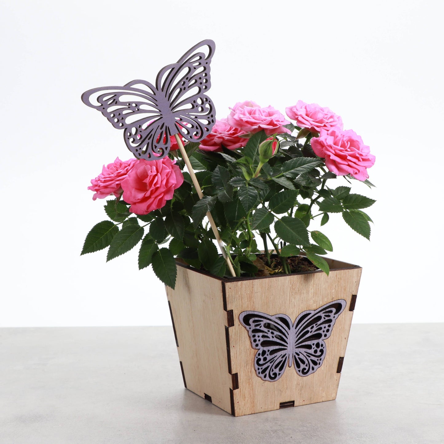 Thorsen's Greenhouse - Butterfly Design Wooden Pot for Houseplants - 4" Size