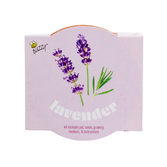 Buzzy, Inc. - Buzzy Seeds Classic 7cm Terra Cotta Grow Kit - Lavender