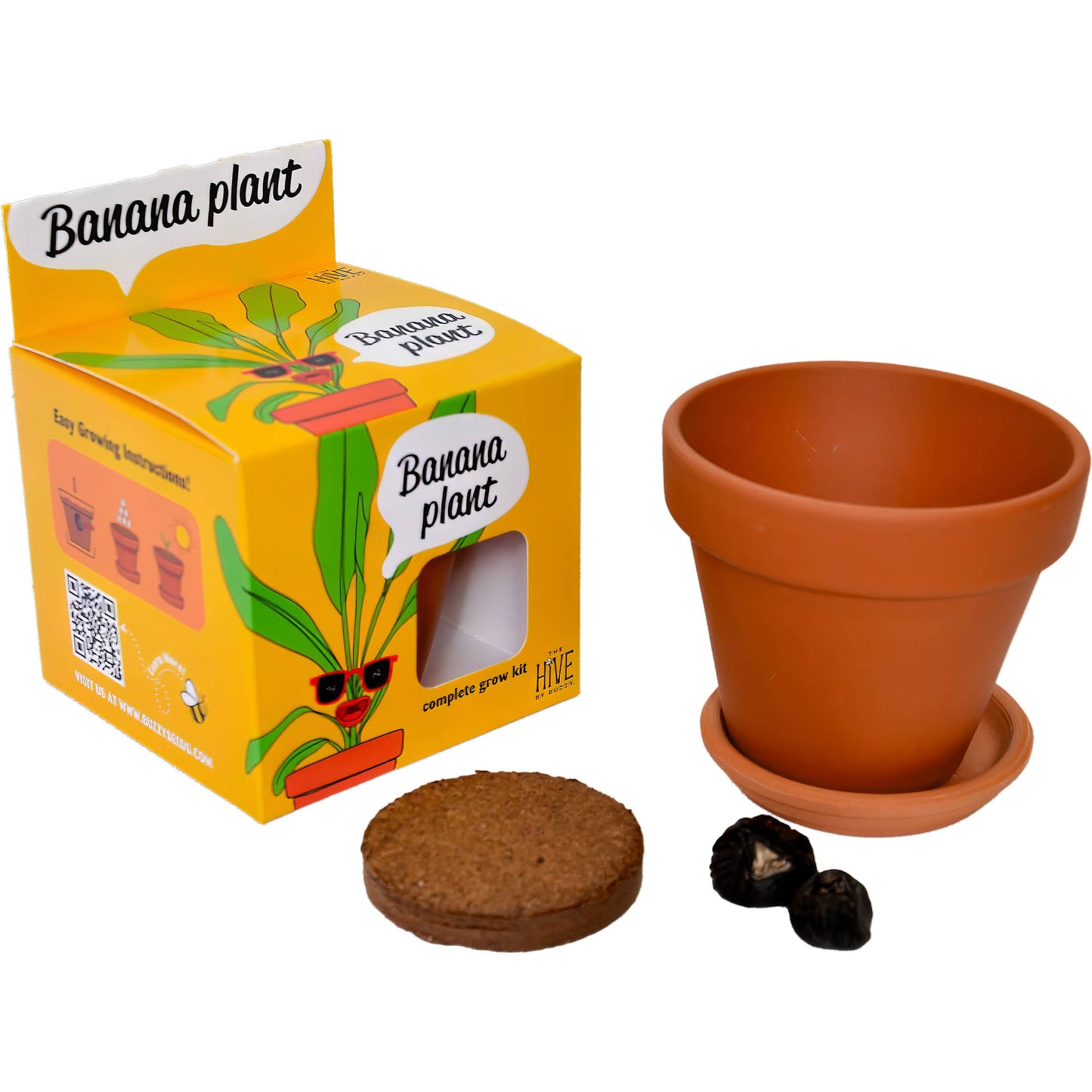 Buzzy Seeds Grow Gifts - Exotic Banana Plant Grow Kit | Indoor