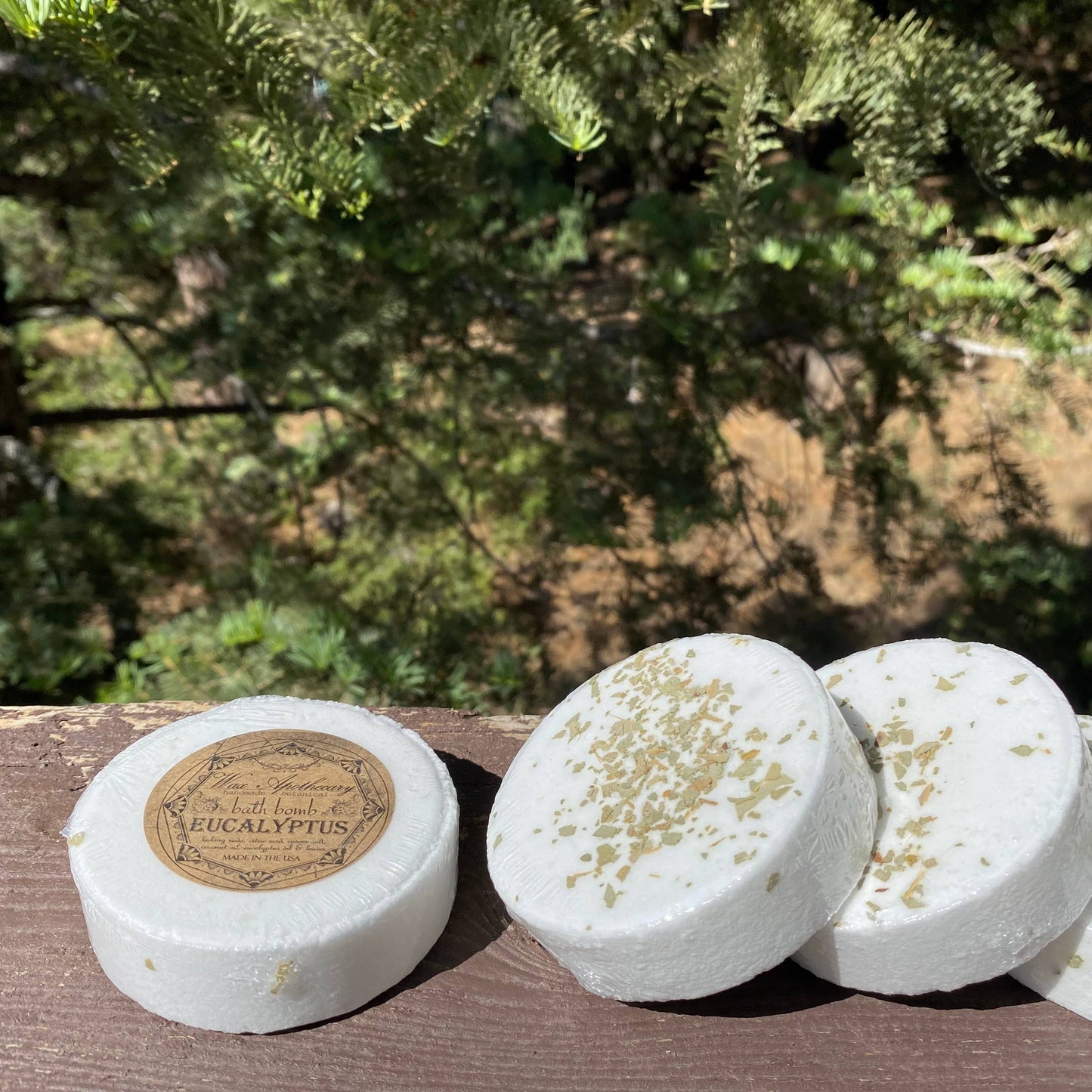 Wax Apothecary - Silver-Dollar Eucalyptus Botanical Bath Bomb