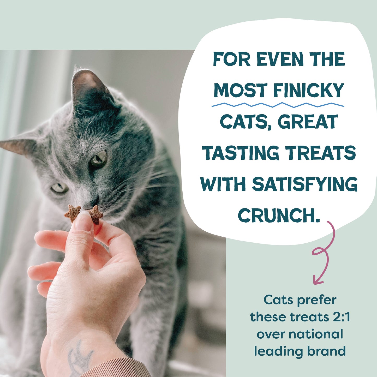 Shameless Pets - Cran U Say Chicken Crunchy Cat Treats