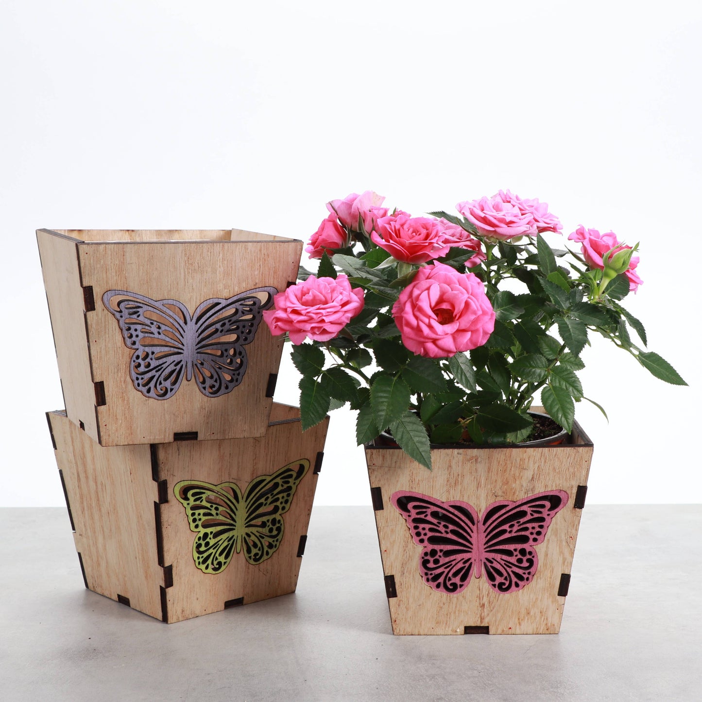 Thorsen's Greenhouse - Butterfly Design Wooden Pot for Houseplants - 4" Size