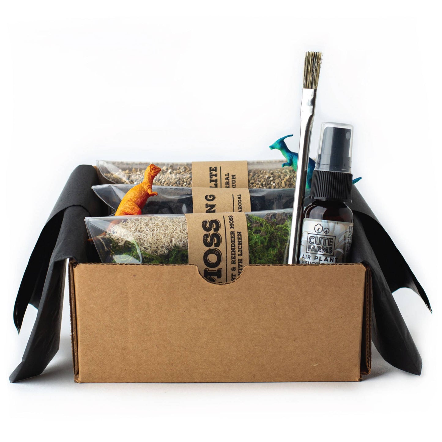 Cute Farms - Terrarium Starter Kit