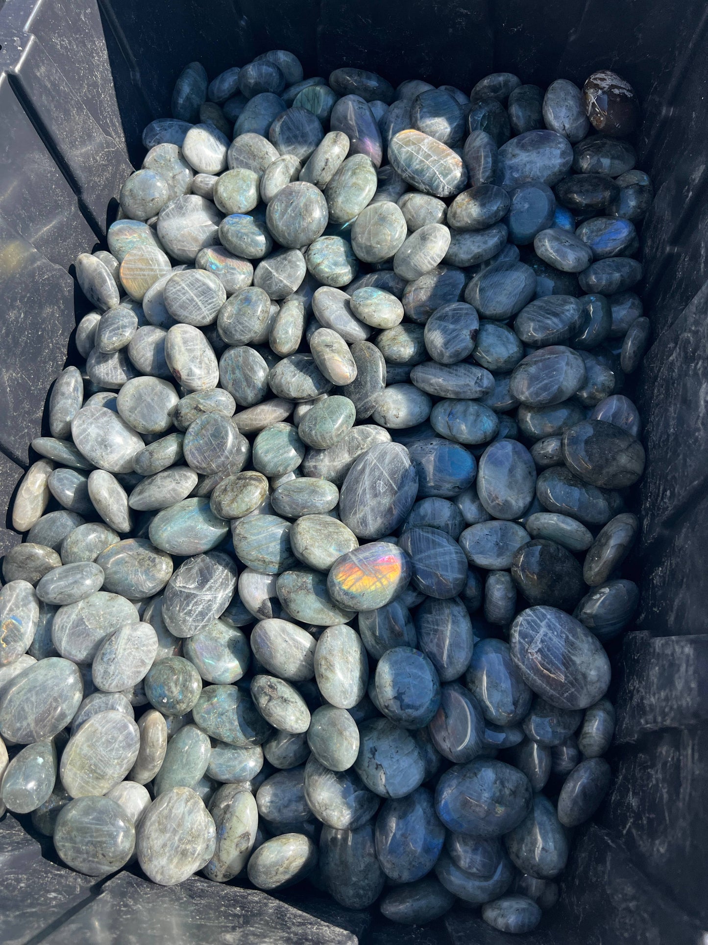 Sapphire & Sage - Labradorite Crystal Palm Stone