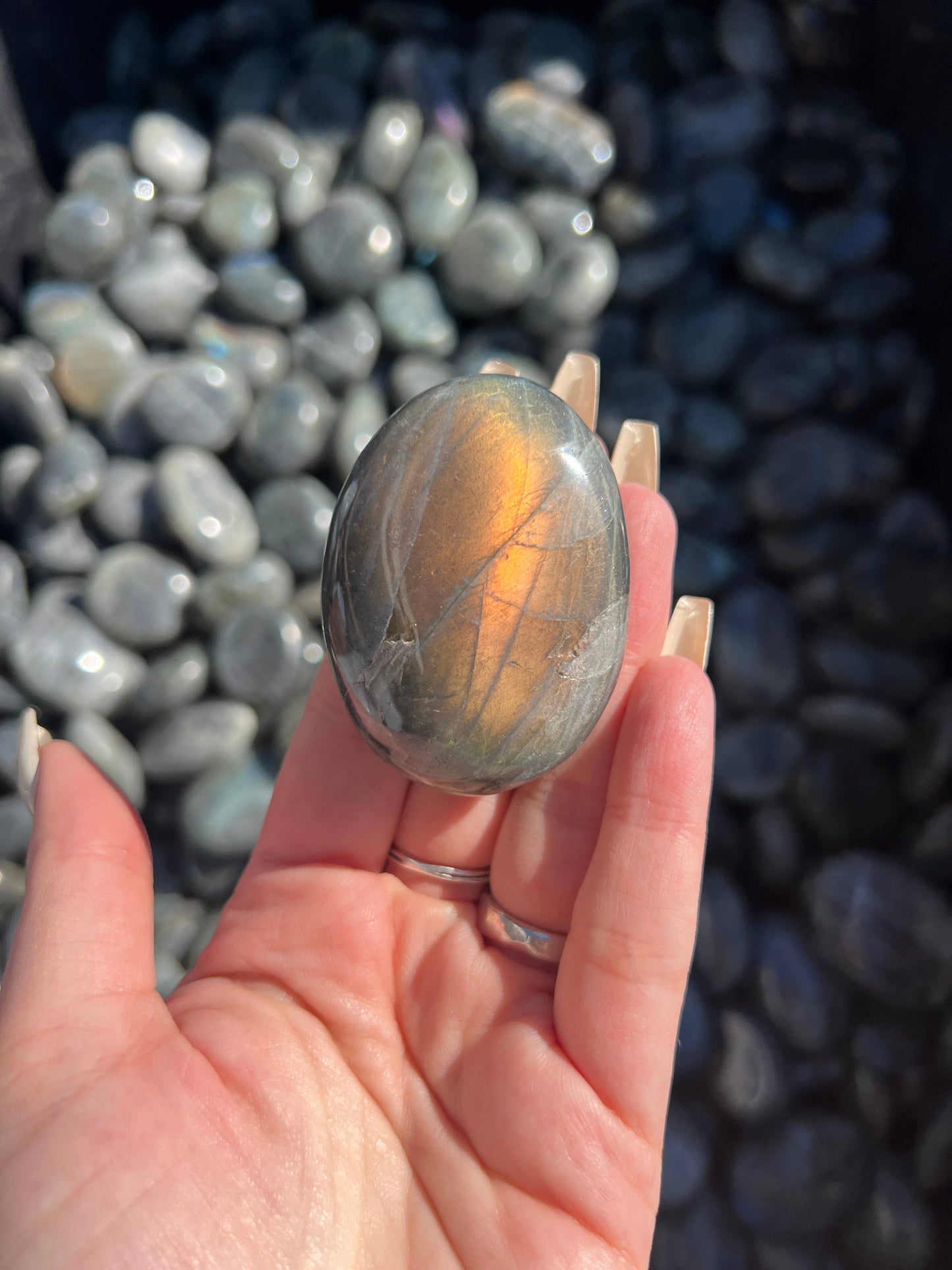 Sapphire & Sage - Labradorite Crystal Palm Stone