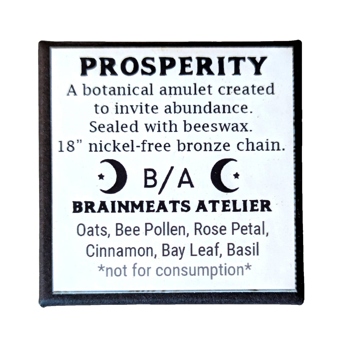 Brainmeats Atelier - Prosperity Amulet - Abundance Talisman Necklace w/Honeybee