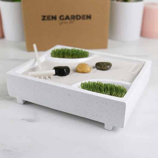 Gift Republic - Zen Garden Grow Kit