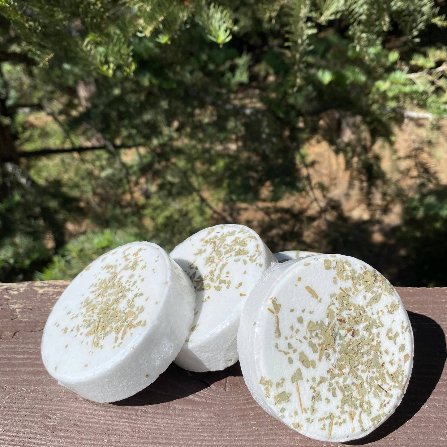 Wax Apothecary - Silver-Dollar Eucalyptus Botanical Bath Bomb